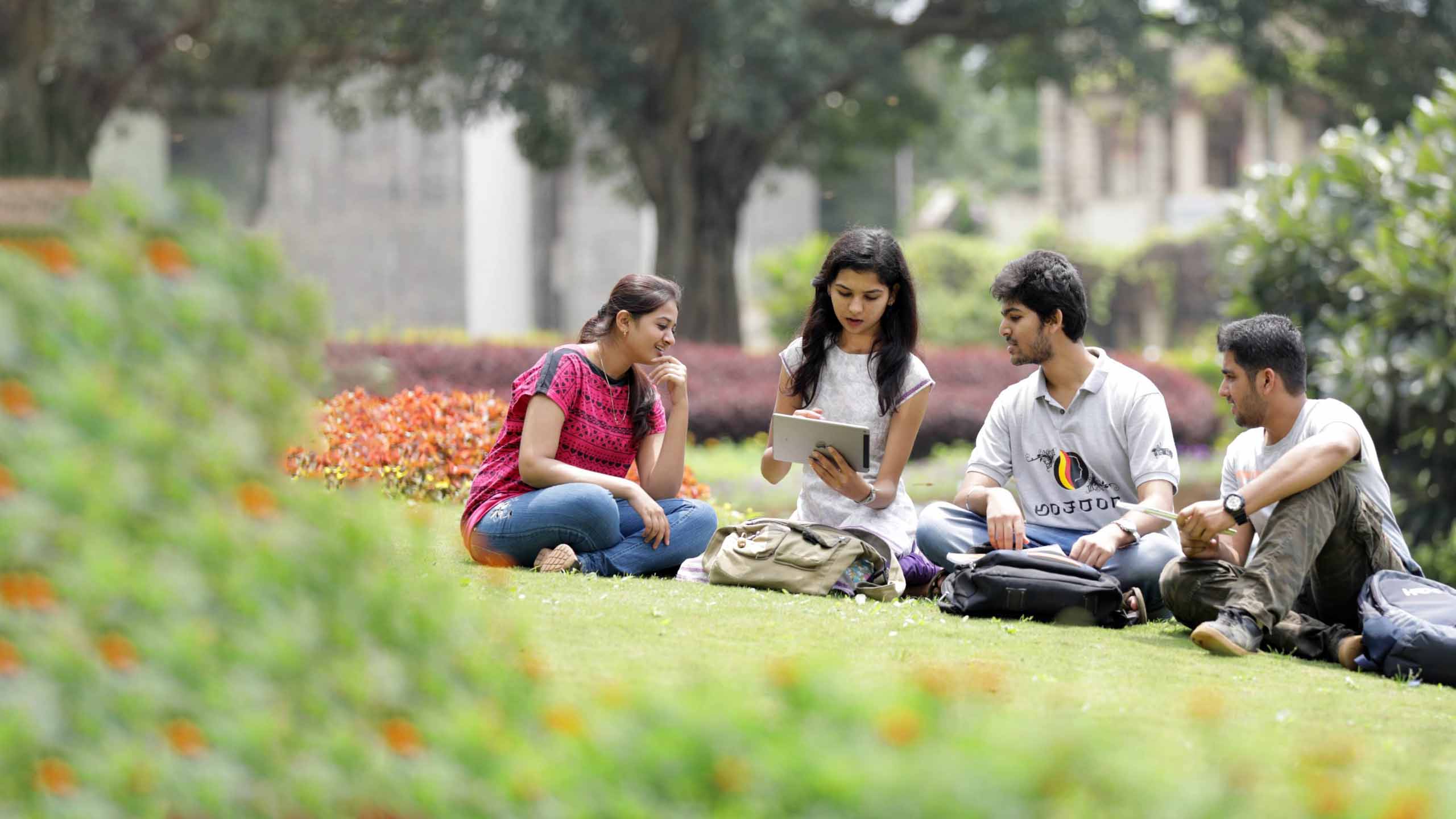 College students enjoying campus lawn